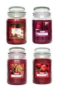 Vela perfumada grande AIRPURE, fragancias de invierno, tarro de 510 g, 120 horas - Imagen 1 de 23