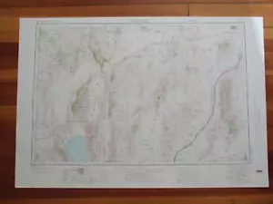 Lovelock Nevada 1973 Original Vintage USGS Topo Karte - Bild 1 von 1