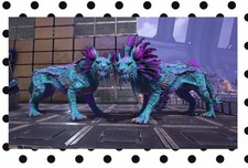 ark xbox pve shadowmane COTTON CANDY Breeding Pair Clones.  Magenta and Cyan.
