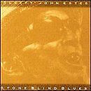 SLEEPY JOHN ESTES - Stone Blind Blues - CD - **Excellent Condition**