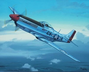 Original Raymond Waddey Painting Aviation Art US Air Force P51 Mustang Aircraft - Picture 1 of 6