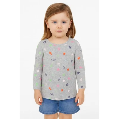 Camiseta Manga Longa Gráfica Feminina Spotted Zebra - Tamanho 4T Cinza Multicolorida Nova Sem etiquetas - Imagem 1 de 4