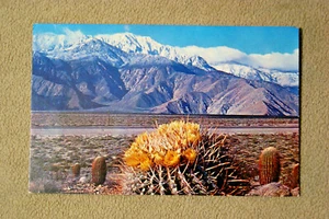 A Springtime Contrast on the Desert - Picture 1 of 2