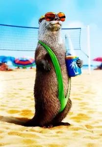 Avanti funny Otter ~ Beach ~ Mankini greeting card ~ Are the sunglasses too much - Picture 1 of 2