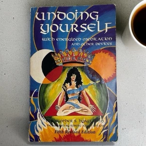 Undoing Yourself 1993 5th Ed Rare Cover Christopher S. Hyatt Occult Meditation - Picture 1 of 7