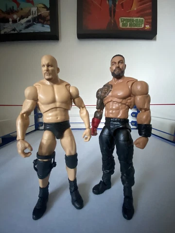 WWE Ultimate Roman Reigns And Steve Austin Lot Cover