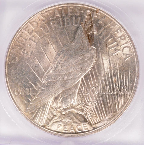ICG $1 1924 Peace Dollar Lamination Reverse MS62 Cover