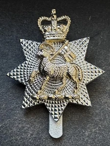 Queens Royal Surrey Regiment Anodised Stay Bright British Army Cap Badge - Picture 1 of 2