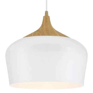 💡 Access Lighting Pendant Light - Model 52057LEDDLP-WH/WGN | LED Bulb Inc 3000K - Picture 1 of 6