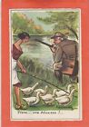 CPA/CPSM/CP - ILLUSTRATEUR - HUMOUR CHASSE - CANARD BÉCASSE...