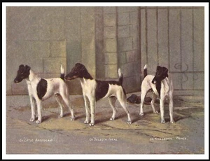 SMOOTH FOX TERRIER GROUP OF NAMED DOGS VINTAGE STYLE DOG ART PRINT POSTER - Picture 1 of 1