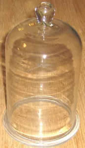 Large Tall Glass Bell Jar 10"x15 3/4" Desiccator Plant Cloche Dome Cake Knob New - Picture 1 of 1