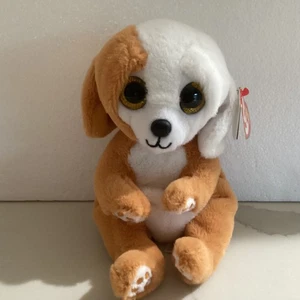 Ty RUGGLES the Dog Beanie Bellies 6” NUEVO - Imagen 1 de 6