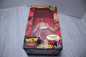 WCW 12" Macho Man Randy Savage Signature nuovo senza scatola San Francisco Toymakers OSFTM nuovo con scatola - Foto 1 di 7