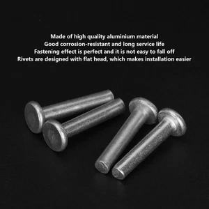 100pcs GB867 M4 Aluminum Rivets Flat Head Solid Rivet Accessories(M4 * 25) New _ - Picture 1 of 9