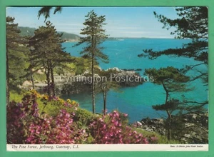 🌞PINE FOREST, JERBOURG, GUERNSEY: JOHN HINDE😊BUY 2 GET 1 FREE - Bild 1 von 2