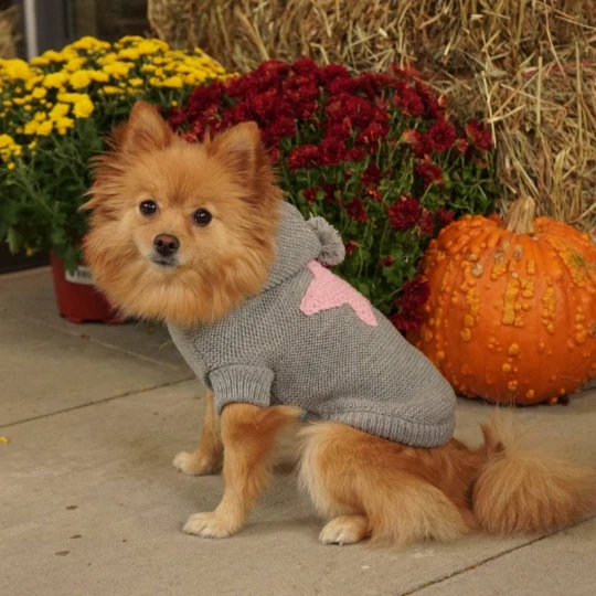 Knitted Dog Sweater with Star / Small Dog Sweater /Grey Dog Sweater / Dog Hoodie - Image 1 of 4