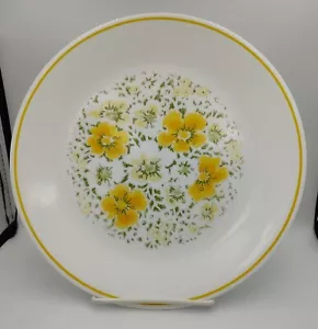 Corelle Piatto Cena Aprile 1977-1979 - Foto 1 di 4