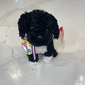 RARE Ty 2.0 Beanie BO (2009 Portuguese Water Dog), With Unused Code, MWMT & HTF - Picture 1 of 4