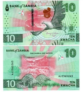 ZAMBIE Zambia Billet 10 Kwacha 2024 2025 New Nouveau Aigle NEUF UNC - Picture 1 of 1