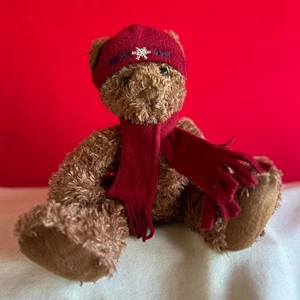 Fossil 15 Zoll Plüsch Teddybär Winter Schneeflocke 1954 Mütze und Schal  - Bild 1 von 7