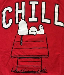 Peanuts Snoopy Chill Charlie Brown Red short-sleeve COTTON t-shirt KIDS size L - Picture 1 of 7