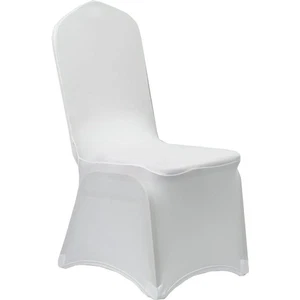 White Spandex Chair Cover 250gsm - Set of 10 by Chivari - Picture 1 of 6