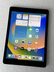 Apple iPad Pro 1st Gen. 256GB, Wi-Fi + 4G (Unlocked), 9.7 in - Space Grey - 350 - Picture 1 of 11