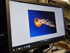 HP EliteDisplay E241i 24" IPS Monitor + Stand 1920x1200 16:10, DisplayPort /VGA - Picture 1 of 8