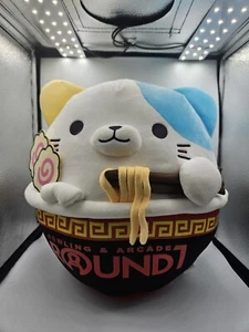 Takashoji 13 Inch RARE Cat Ramen Bowl Plush Round 1 - Picture 1 of 8