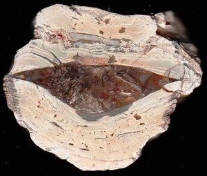 Achat/Agate vom Lierbachtal im Schwarzwald - mit Pseudomorphose !!!!! - Bild 1 von 1