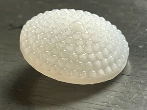 Antique White Glass Hobnail Sewing Button 7/8” - Picture 1 of 8