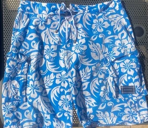 BURBERRY Blue Surf Baggies Trunks Shorts Vintage LARGE - Picture 1 of 5