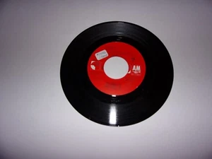 Janet Jackson: Black Cat / Remix / 45 Rpm / 1990 / EX - Imagen 1 de 2