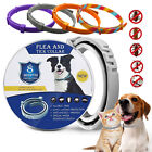 Adjustable Insect Repellent Dogs Collar Flea And Tick Collar Cats