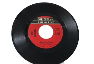 45 RECORD - ANDY WILLIAMS - CANADIAN SUNSET - Picture 1 of 1