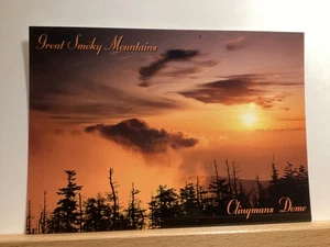 Clingmans Kuppel in den Great Smoky Mountains: - Vintage Postkarte - Bild 1 von 3