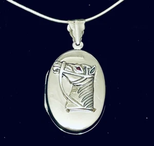 Sterling silver animal ruby horse pony memory photo oval locket & Chain Necklace - Picture 1 of 9