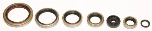 Kit completo de sello de aceite de motor KTM 250 300 SX (1990-2002) 250 300 EXC (1990-2003) Foto 1 de 1