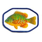 Pumpkinseed Fishing Patch Dye Sublimation Iron on Applique Handmade Edge 1