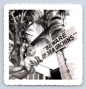 Vintage Photograph Baby Posed by "Beware of Sea Urchins" Sign 3.5x3.5" - Picture 1 of 2