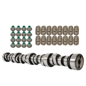 Kit de árbol de levas para camioneta GMC Chevrolet Cadillac 4.8/5.3/6.0L LS etapa 4 - Imagen 1 de 8