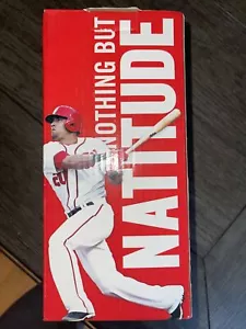 2014 Washington Nationals IAN DESMOND Bobblehead SGA BOBBLE HEAD BASEBALL CARDS - Picture 1 of 5
