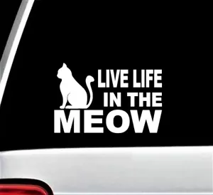 Live Life In The Meow Katzenliebhaber Aufkleber Sticker Auto SUV Van Laptop Oberfläche B1131 - Bild 1 von 3