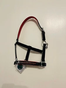 Neu Mini Shetland Kopf Kragen Top schwarz Leder in rotem Stein kostenloser Versand - Bild 1 von 5