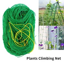 Rete rampicante delle piante Supporto per reti traliccio in nylon verde giardino