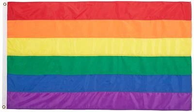 Annin Flagmakers Pride Flag Todo Clima Nylon, 3 x 5 Pies (Modelo 272413) Foto 1 de 3