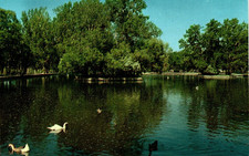 Postcard duck pond in Gibson Park Great Falls Montana