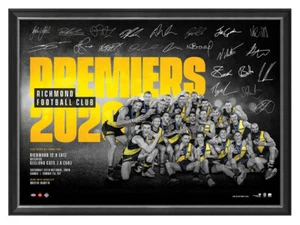PRESALE RICHMOND TIGERS 2020 OFFICIAL AFL PREMIERS PRINT FRAMED MEMORABILIA - Picture 1 of 1