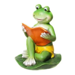 Frosch mit Buch und Badehose - Picture 1 of 1